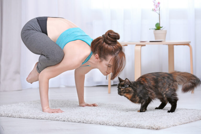 Cat Yoga Du Yoga Avec Son Chat Magazine Zooplus