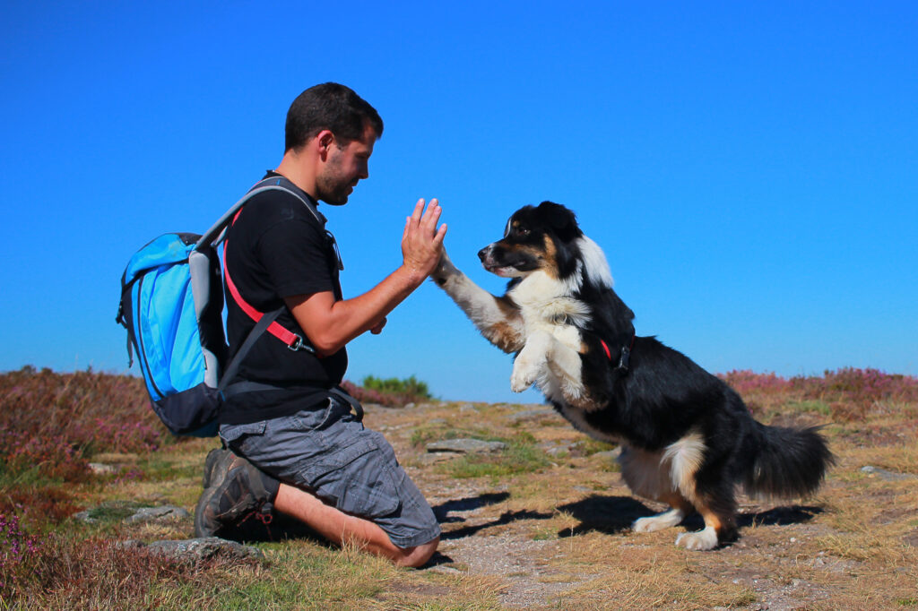 un homme et son chien se tapent dans la main