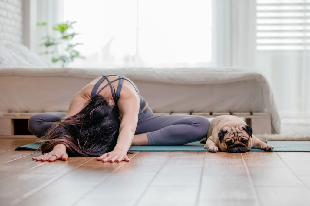 Doga ou dog yoga : faire du yoga avec son chien une femme fait du dog yoga avec son carlin