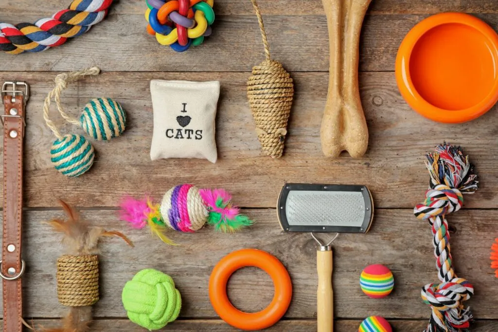 Diff&eacute;rents jouets et accessoires pour s'occuper d'un chat