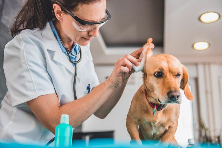 Comment nettoyer ses oreilles correctement ? - Conseils santé