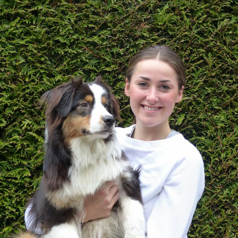 L’occlusion intestinale chez le chien que faire ? zooplus