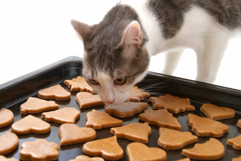 Biscuits de Noël - Recettes sauvages de mémé