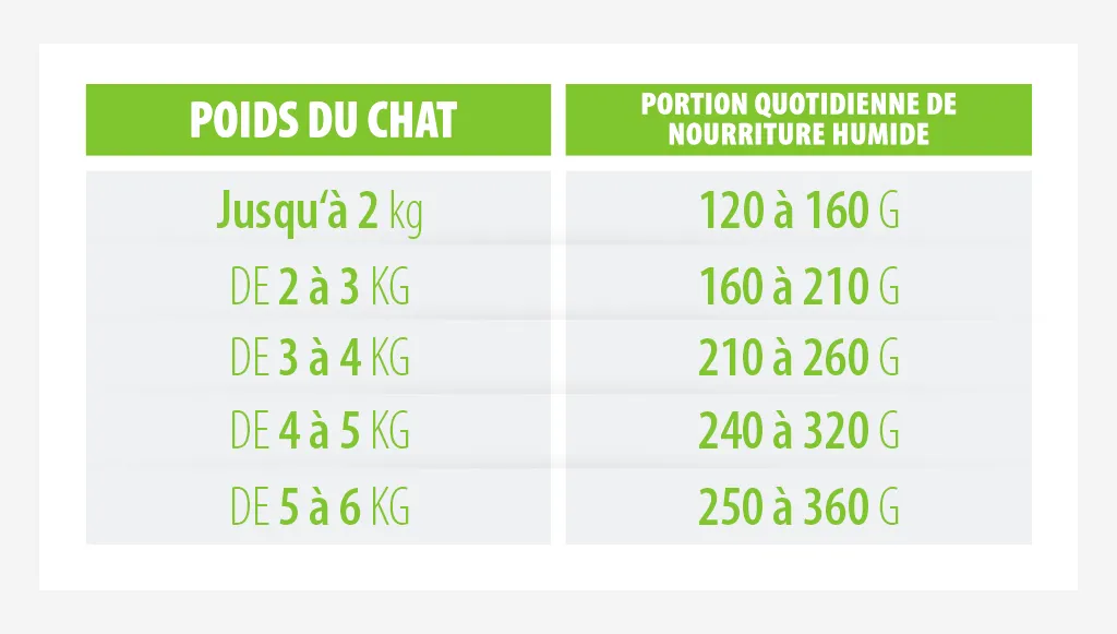 quelle quantité de nourriture donner à mon chat