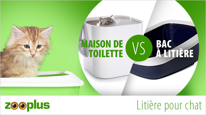 litière pour chat silice aggolmérante