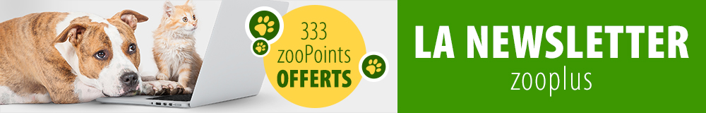 newsletter visual