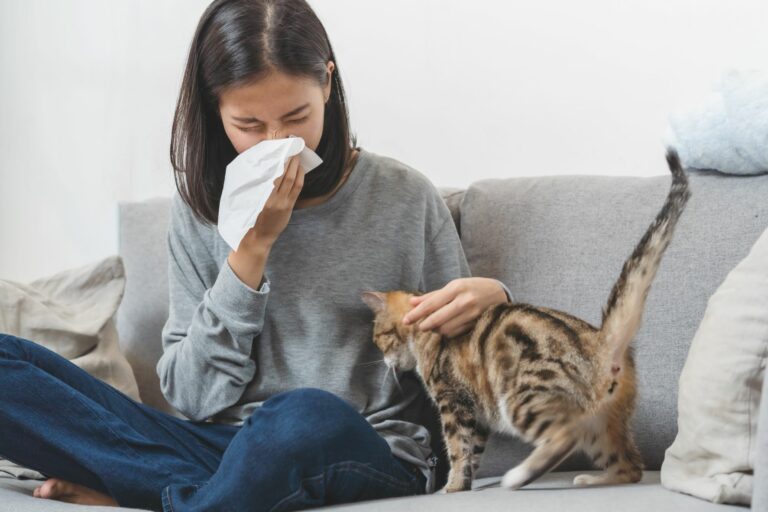 allergie aux chats