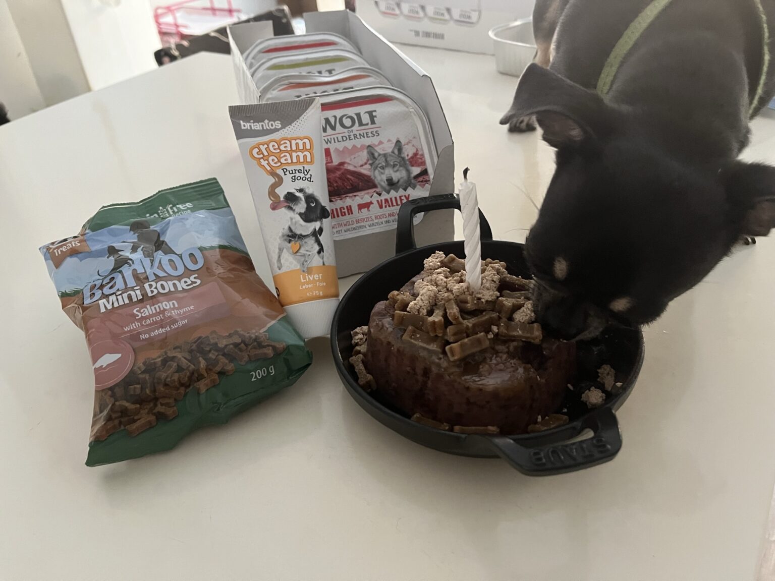 Recette de gâteau pour chien fait maison : 3 idées irrésistibles