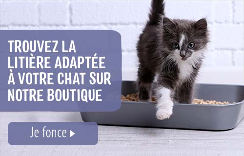 Mon Chat Urine Sur Mon Lit Pourquoi Et Que Faire Magazine Zooplus