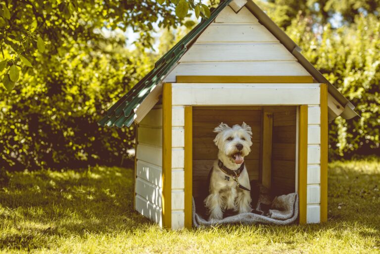 niche pour chien à l'extérieur