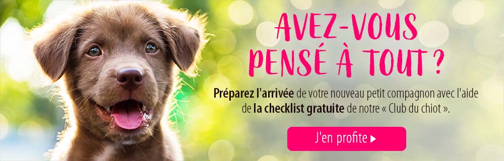 bannière checklist club du chiot