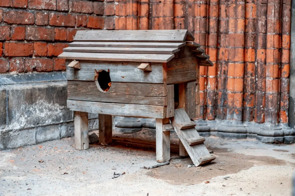 Niche pour chat sur&eacute;lev&eacute;e sur pieds