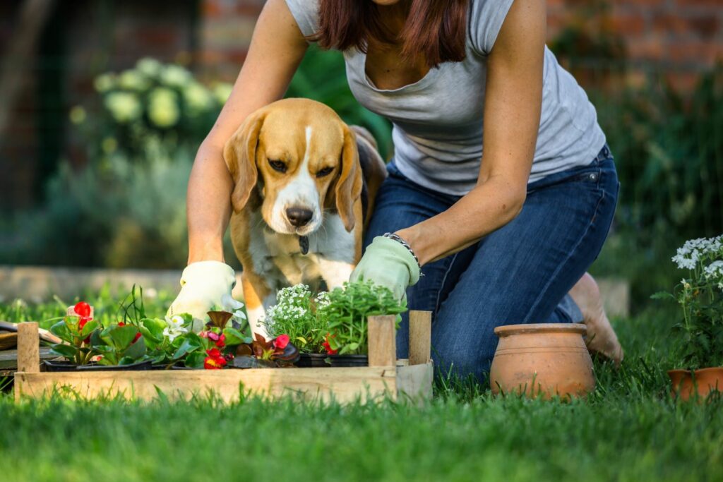 un chien et sa maitresse dans un jardin