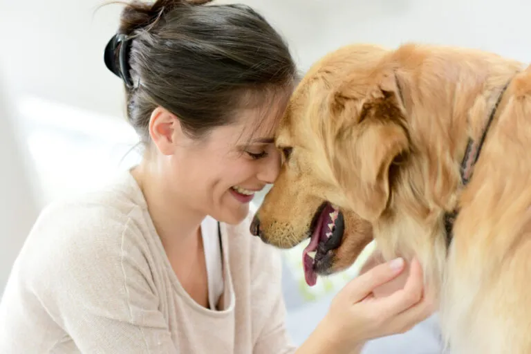 adoption chien
