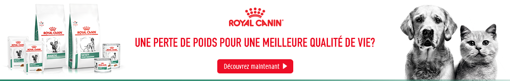 croquettes royal canin