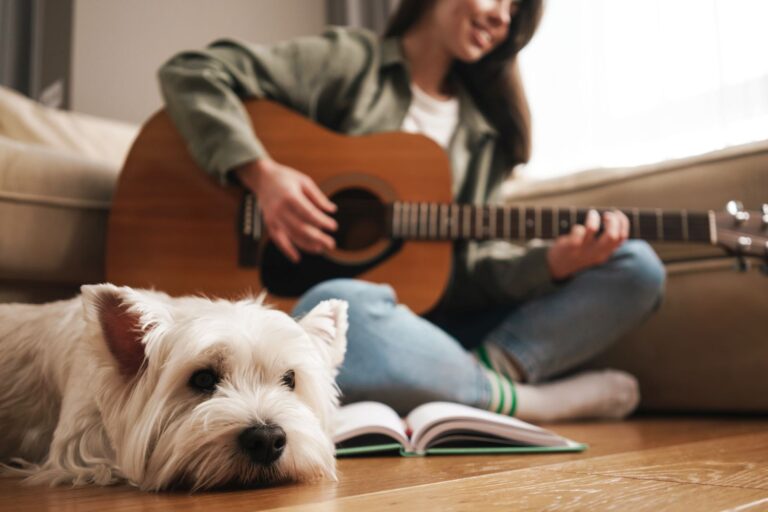 chien qui écoute de la musique de relaxation