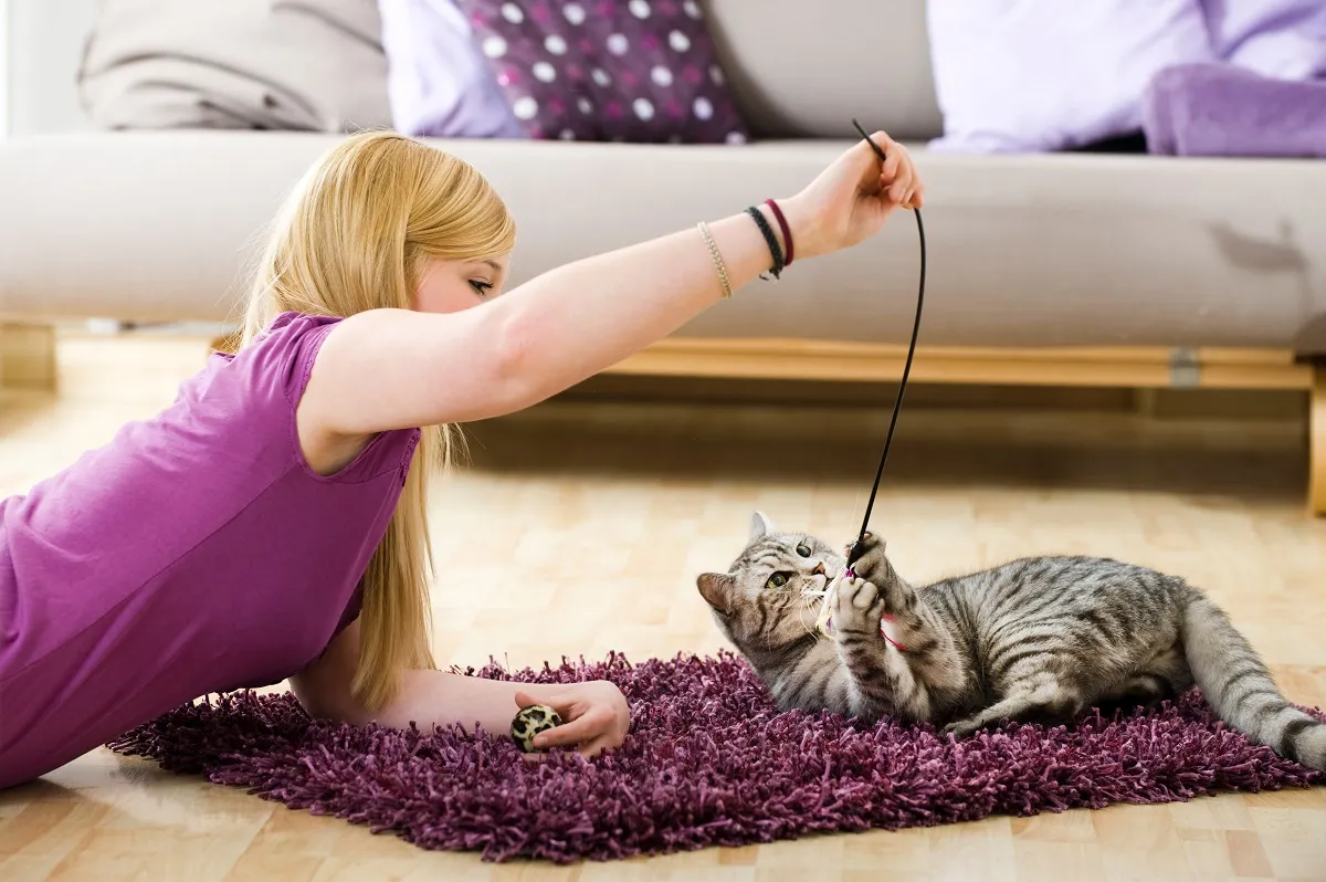 Une jeune fille joue avec son chat Le stress peut provoquer le pica chez le chat