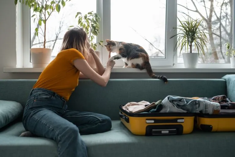 Une jeune femme avec son chat avant de partir en voyage Pension pour chat : la séparation est difficile