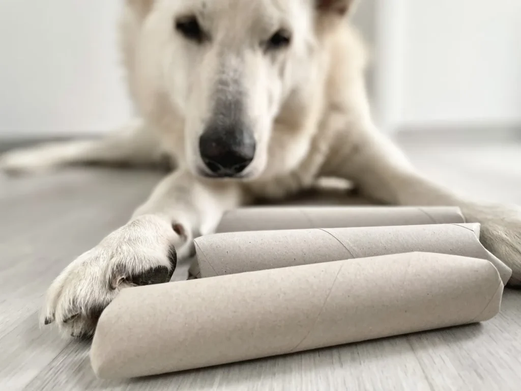 Le chien est allong&eacute; devant des rouleaux remplis de friandises