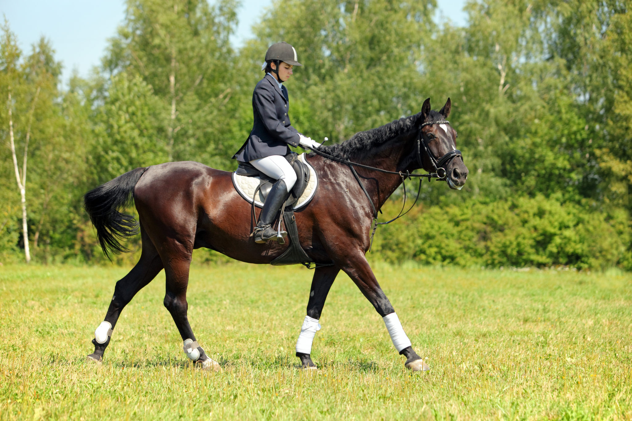 Sangle De Sangle STUBBEN Equi-Soft Sans Couverture - 75 Cm (30 Pouces) - Noir - Occasion Très Bon état