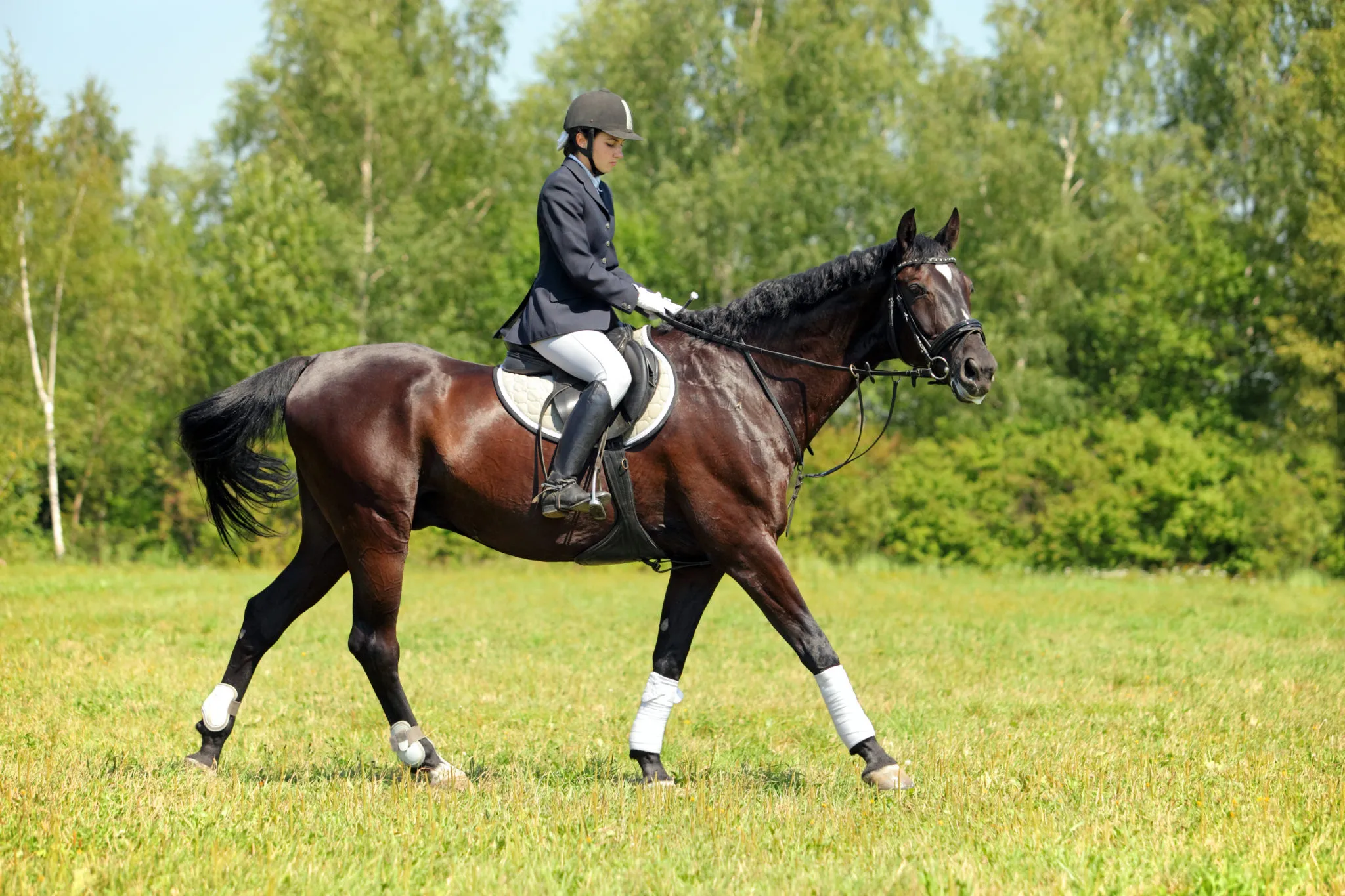 Manteau De Chasse équitation RJ Classics – Noir, Taille 10 Reg, Neuf
