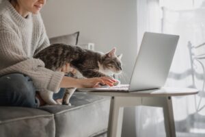 Accessoires malins pour le quotidien : les 6 meilleurs gadgets pour chat