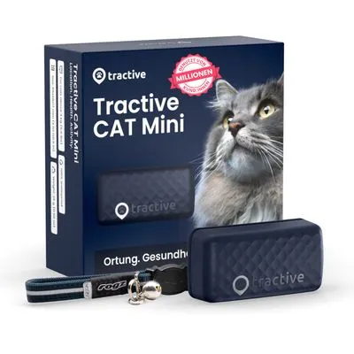 accessoire pour chat
