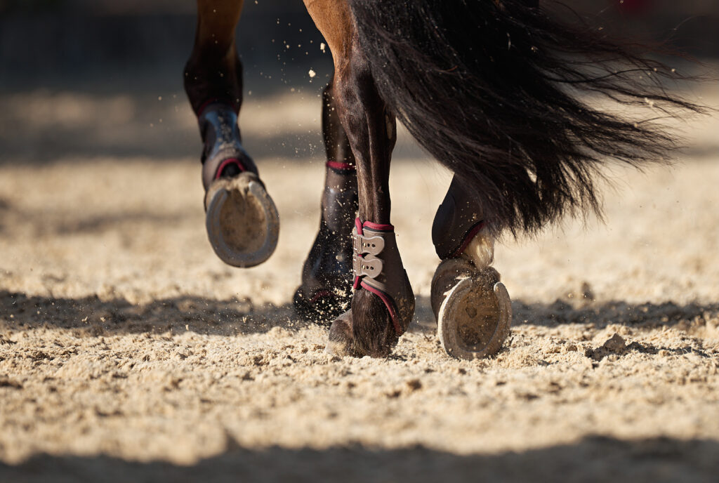 sabots cheval