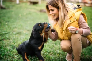 Comment occuper un chiot ?