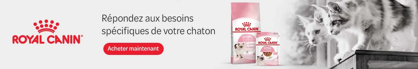 FR_kitten_range_royal_canin_1025