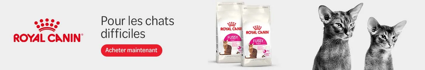 FR_RC_Fussy_Cats_Advertorial_1125