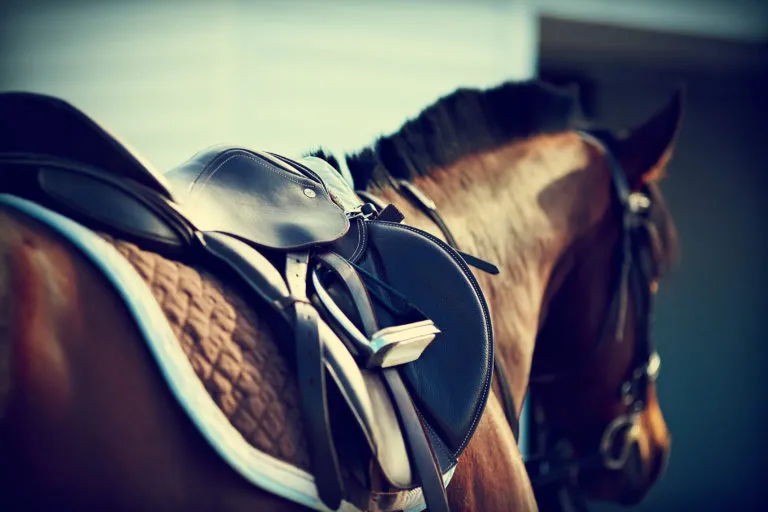 Un cheval est équipé d'un tapis et d'une selle d'équitation classique