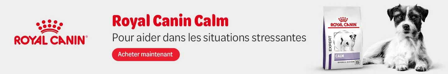 FR_RC_Calm_Dogs_Advertorial_1125